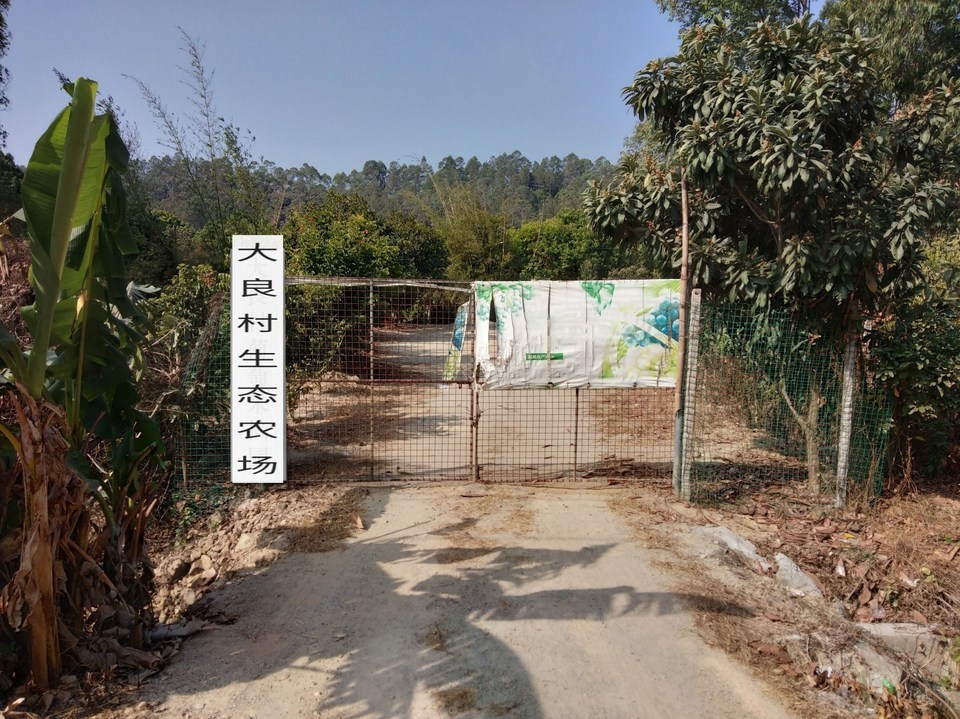 白鹭湖农家乐