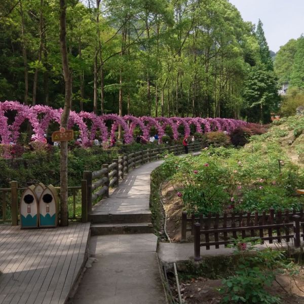 【丹景山】丹景山門票,丹景山遊玩攻略_360地圖