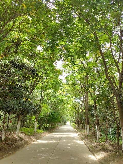 安康城市風景