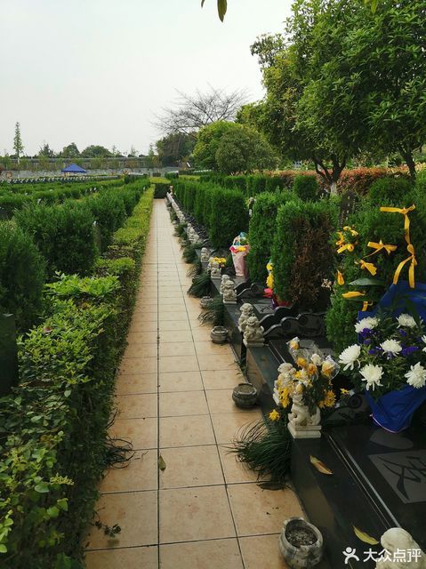 旅顺龙凤山公墓图片图片