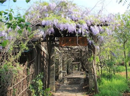 紫藤長廊位於蘇州市常熟市虞山街道推薦菜:分類:景點公園;城市公園