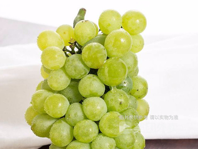 奶油葡萄图片