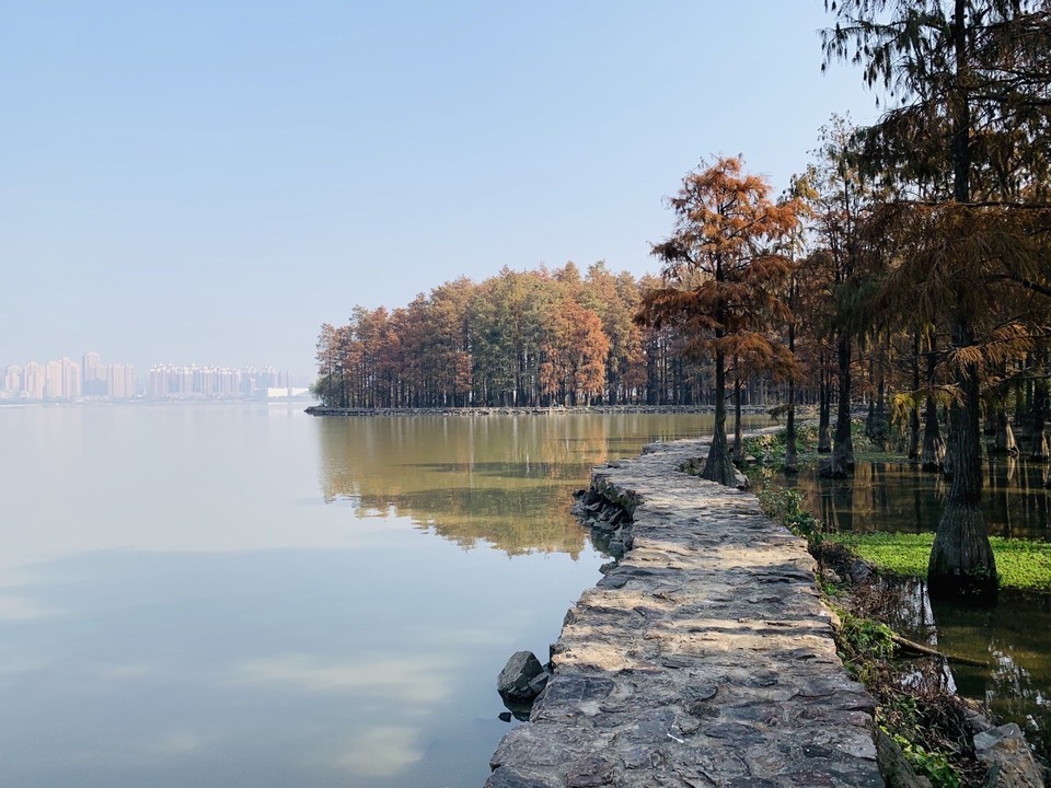 南湖山庄半岛花园54栋