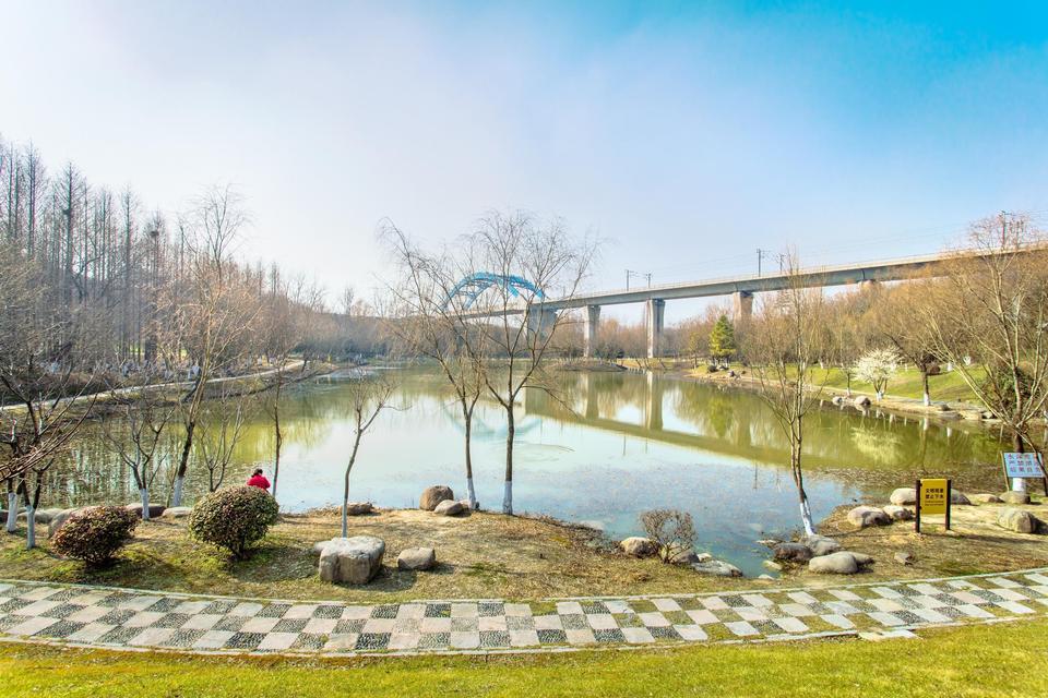 南京聚宝山公园图片