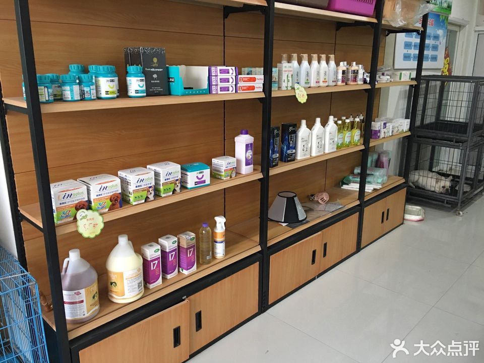         圣宠宠物(承德头道牌楼店