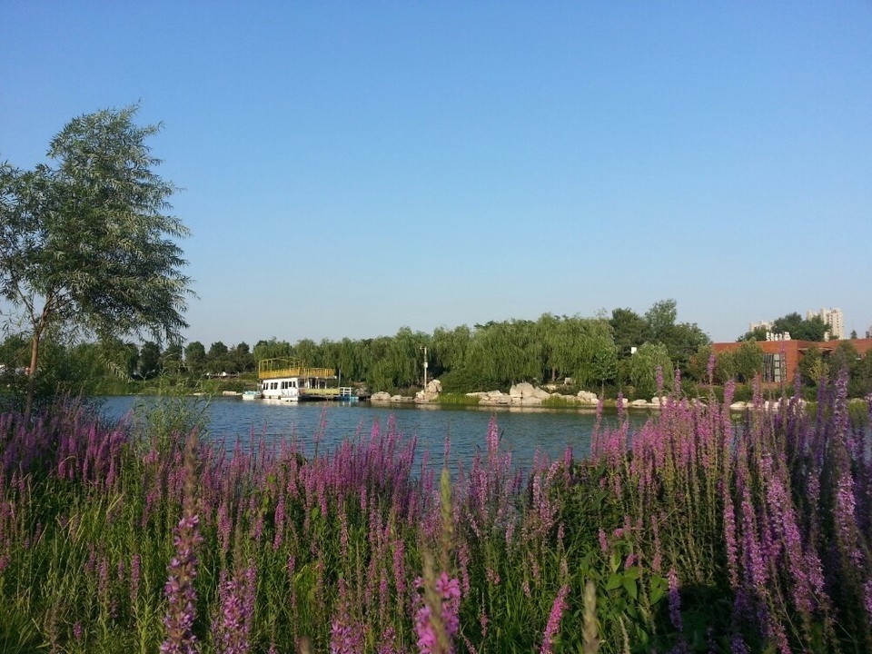 西北环城水系公园图片