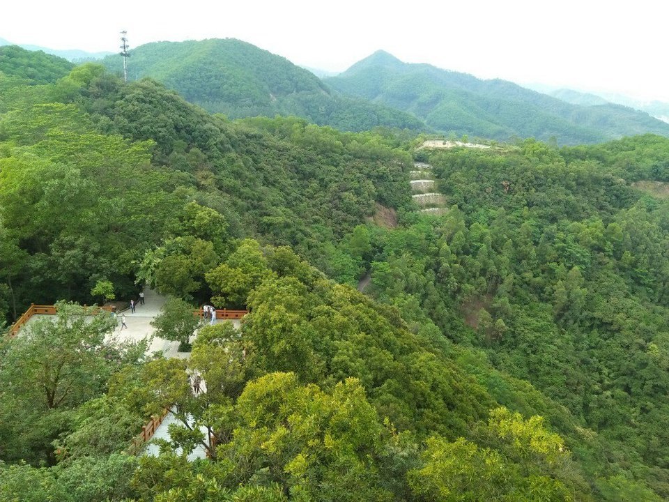 > 五顶山森林公园