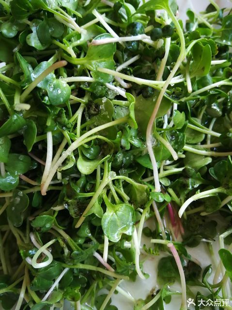 金湖炒鸡位于临沂市罗庄区新华路罗六路西推荐菜:特色炒小公鸡金豆