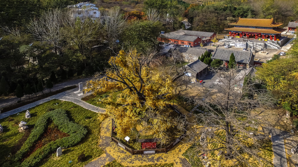 安山寺位于济宁市泗水县泗张镇