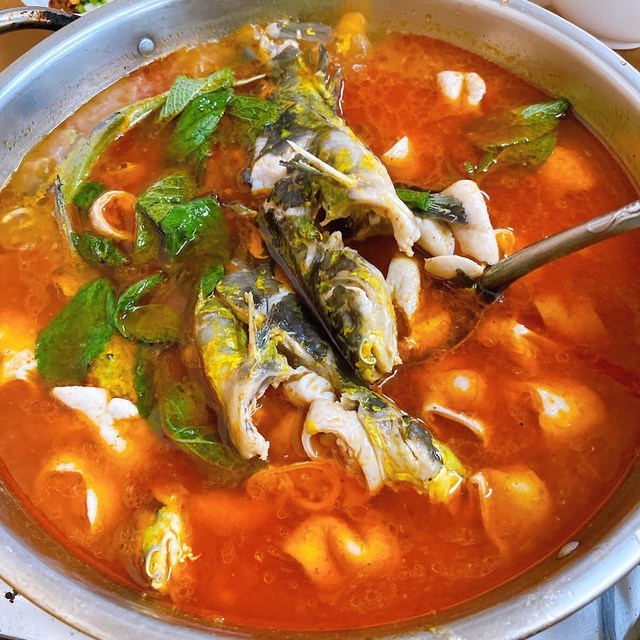 张记凯里酸汤鱼