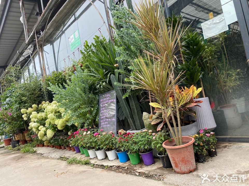 成都金科花卉市场
