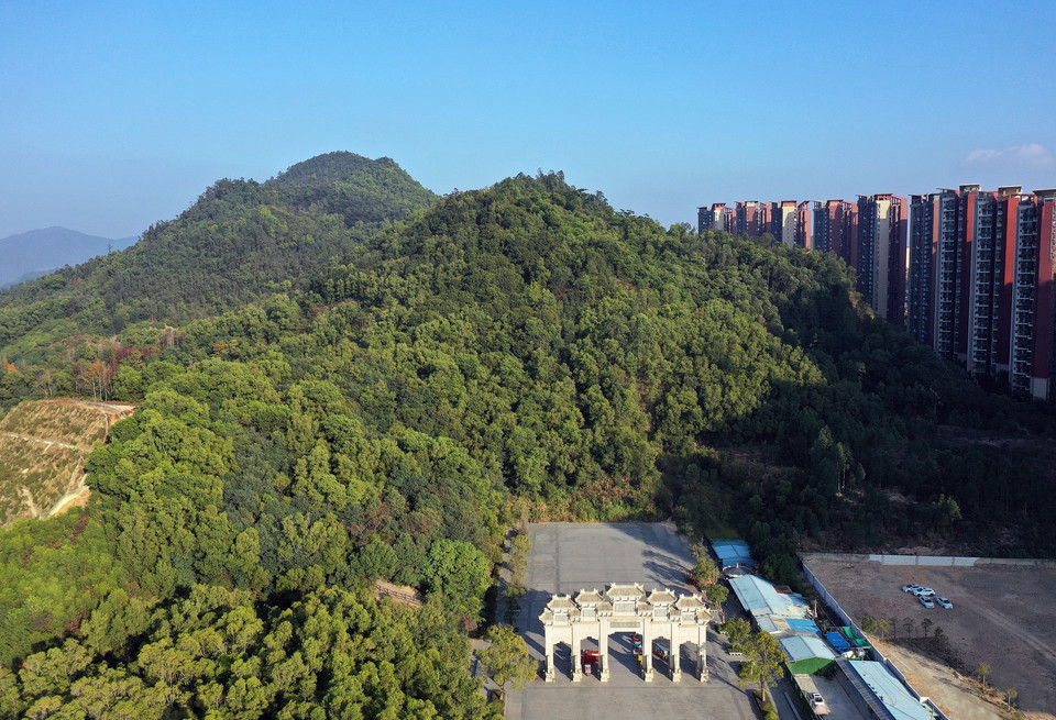 花台山森林公园