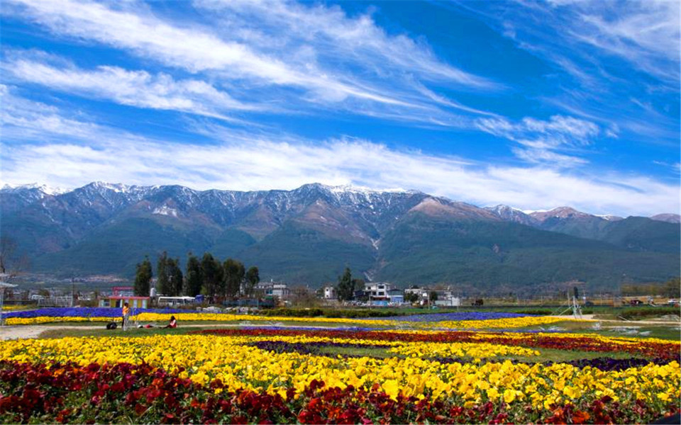 云海芳草千亩花卉博览园