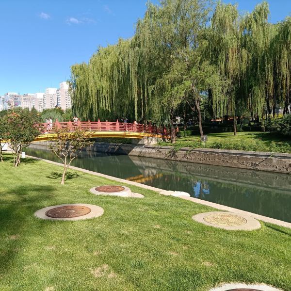 首页>北京市>休闲娱乐>景点公园>景点>元土城遗址公园鹏鹏与小野猫