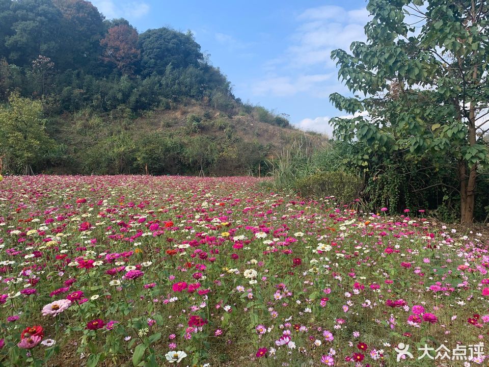 山羊坞休闲农庄图片