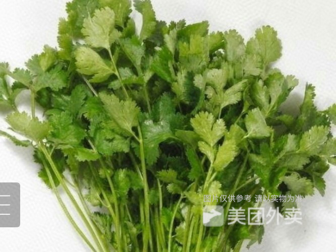 香菜图片