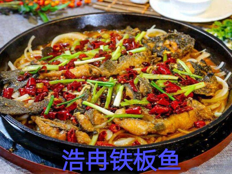 浩冉铁板鮰鱼图片