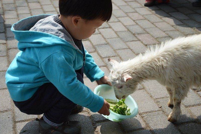 上海动物园图片