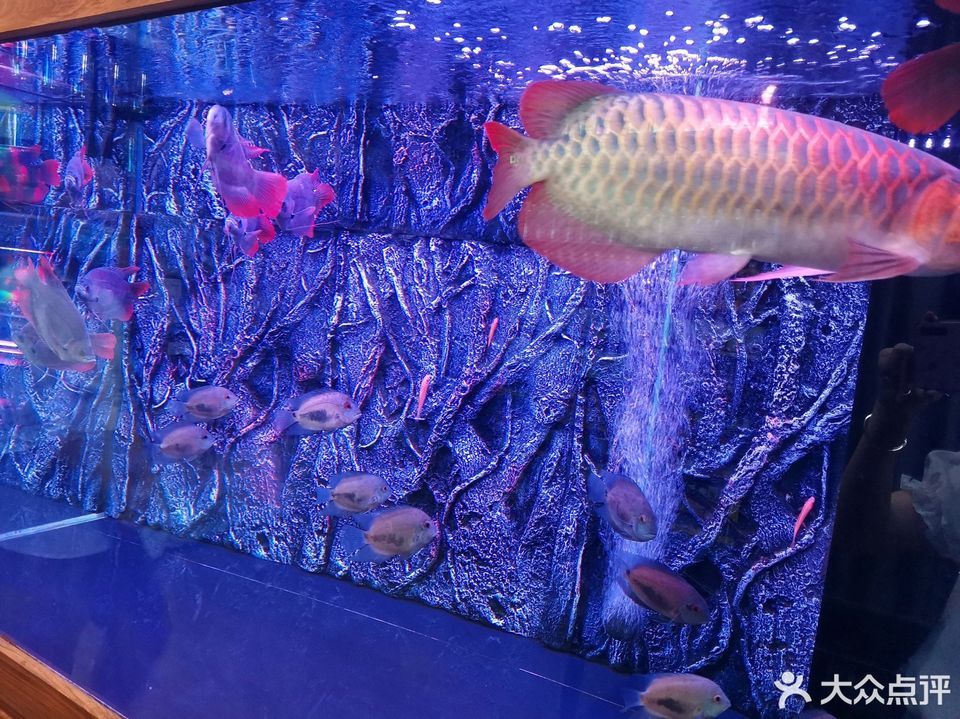 深圳市 购物服务 综合市场 > 耀誉水族馆