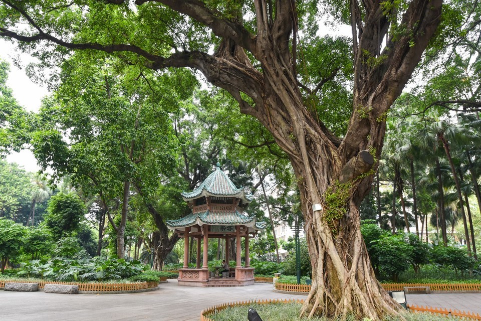 佛山市 休闲娱乐 景点公园 景点 > 中山公园