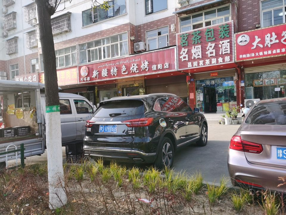 阿布都新疆特色烧烤信阳店