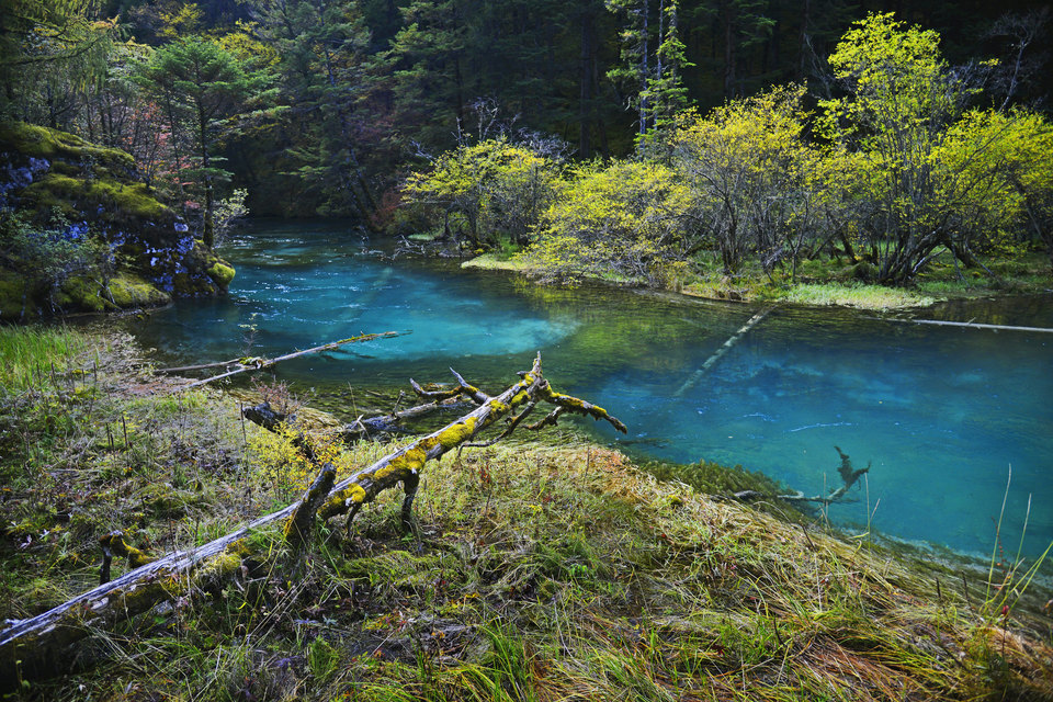 日则沟位于阿坝藏族羌族自治州九寨沟县漳扎镇风景名胜区内推荐菜