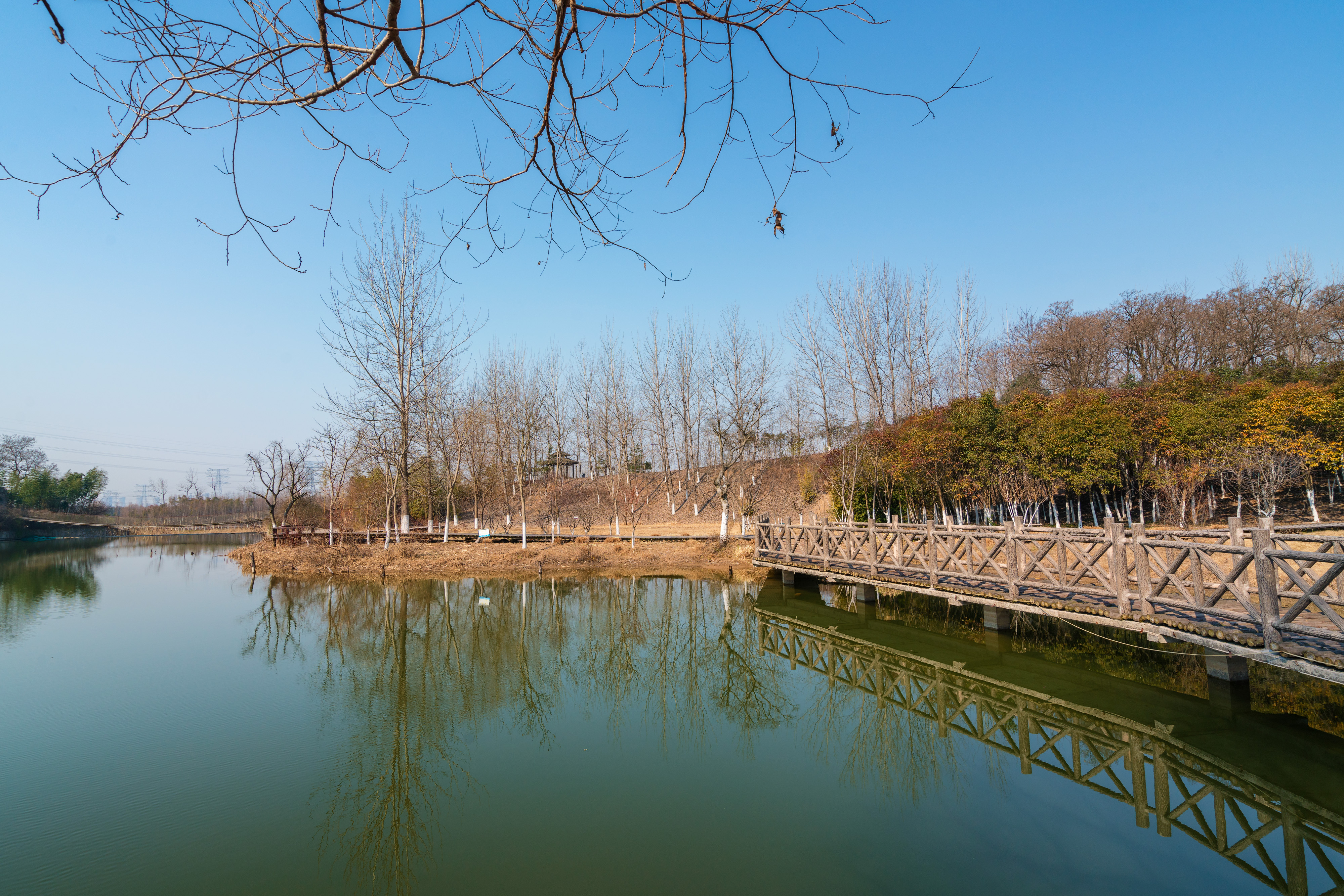 淮河公园图片