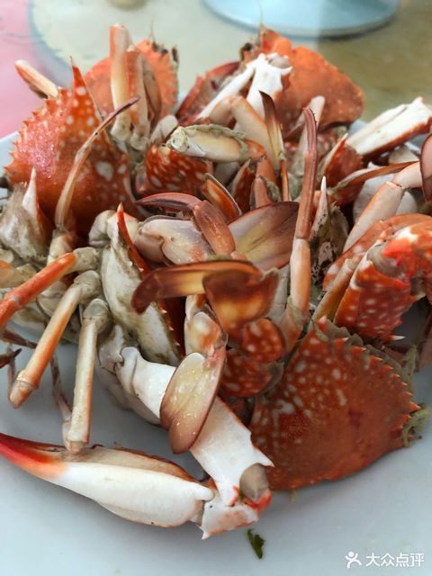 > 莆田海鲜