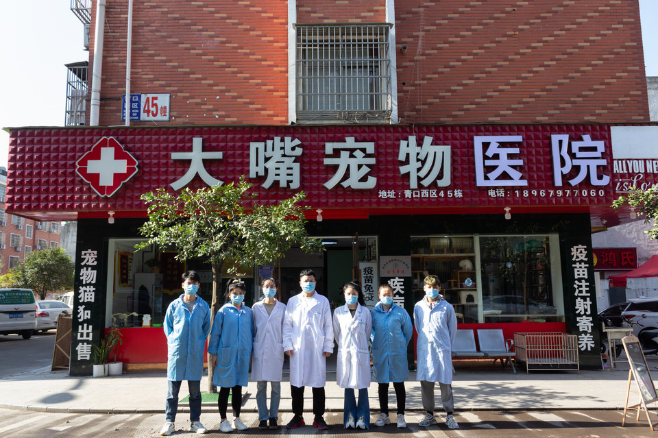 大嘴狗宠物诊所图片