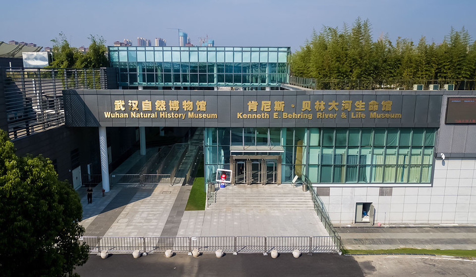 武汉自然博物馆照片图片