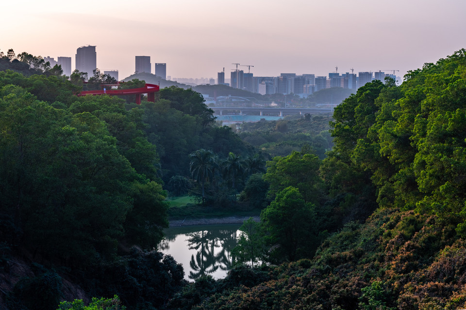 大顶岭山林公园图片