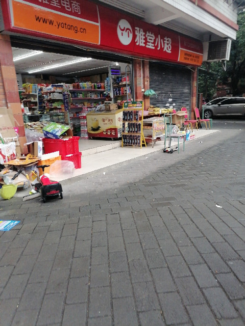                          雅堂小