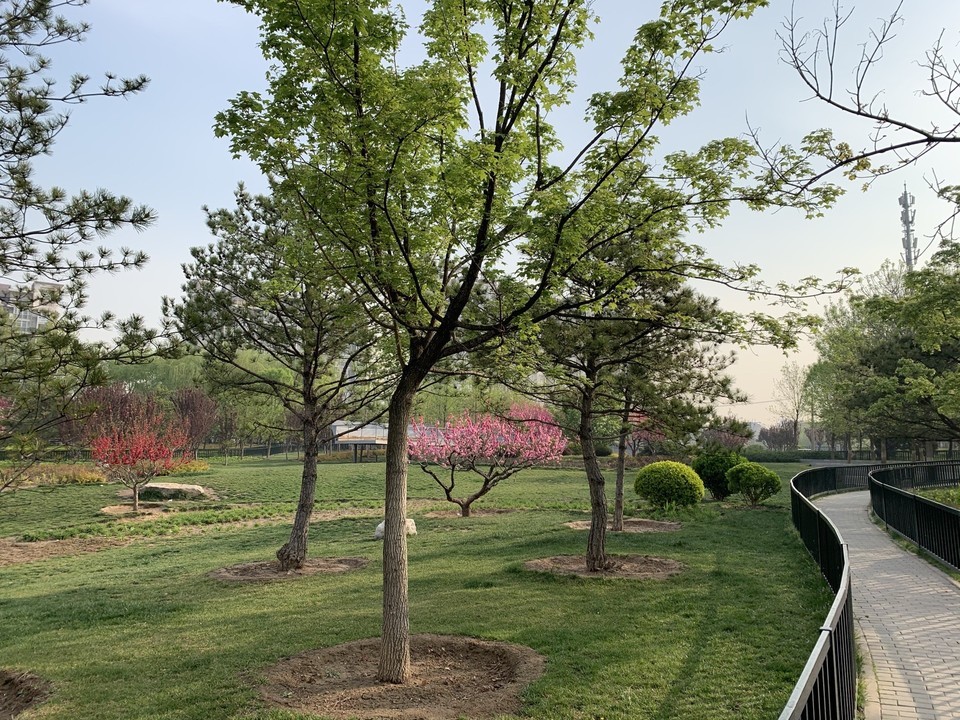 绿谷公园