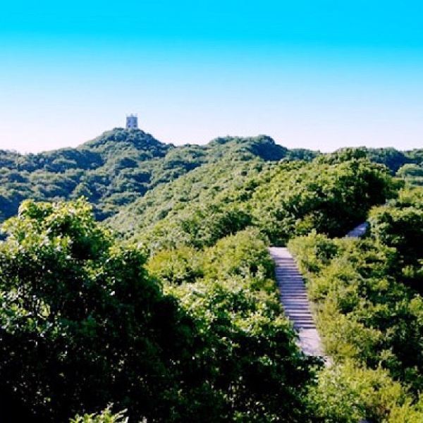 石门山森林公园