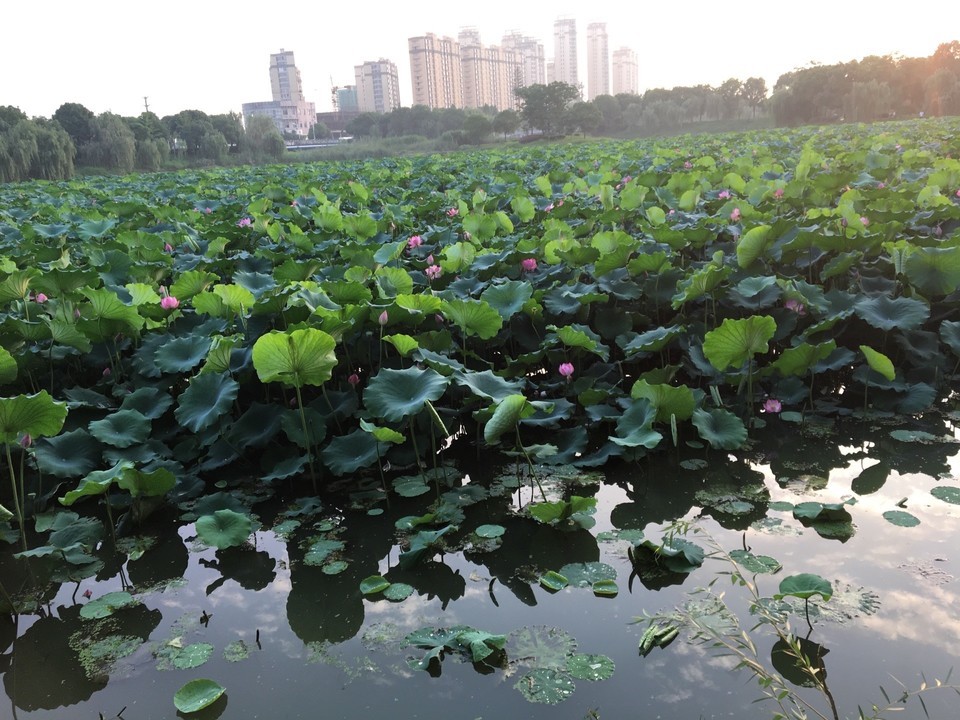 > 无为无为14:20163