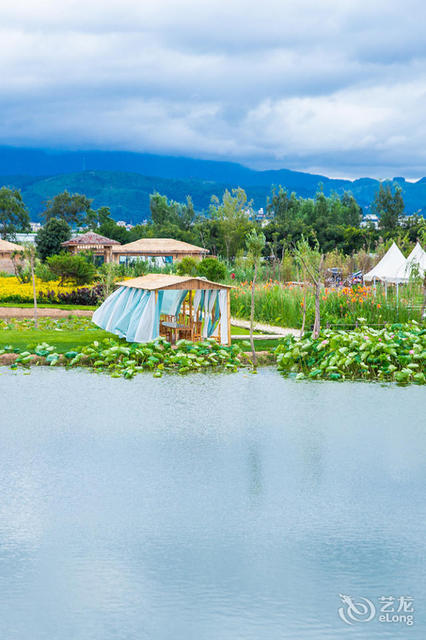 澄江悦莲庄园·荷舍主题民宿