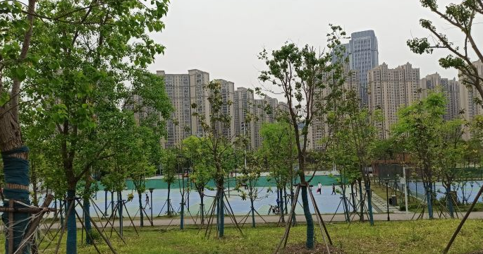 武汉市后湖公园图片