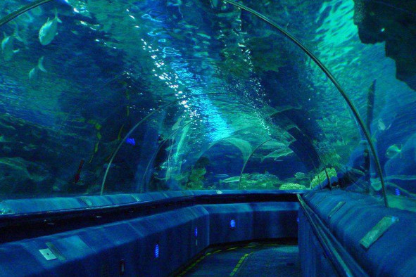 新西兰富国海底世界