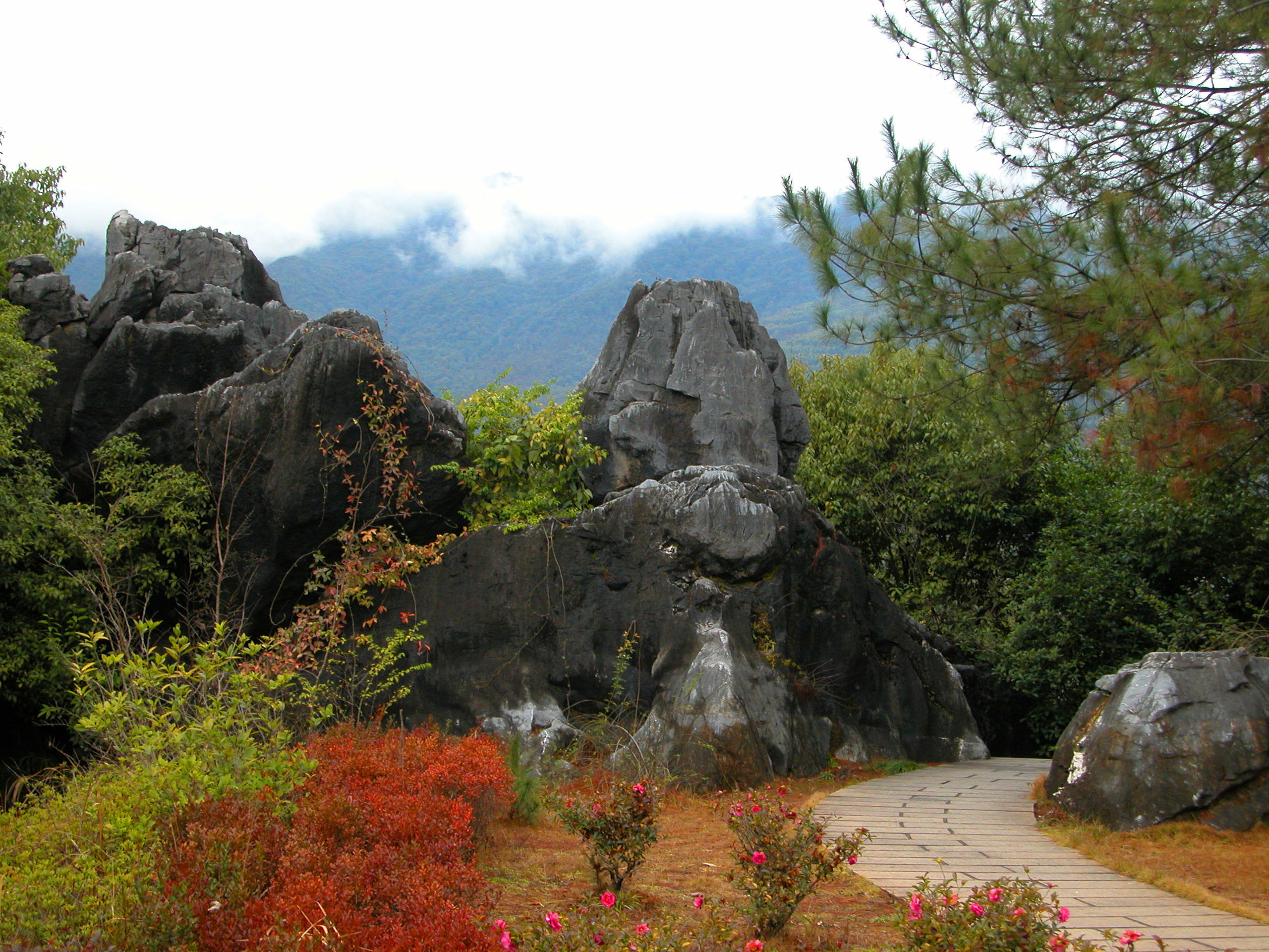 福建石林风景区