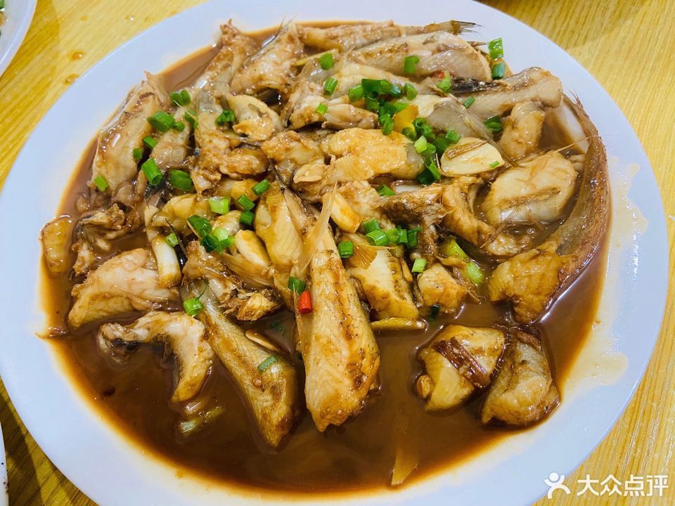 水龙鱼图片