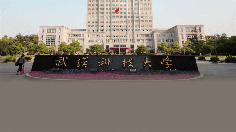 武汉科技大学教务处图片