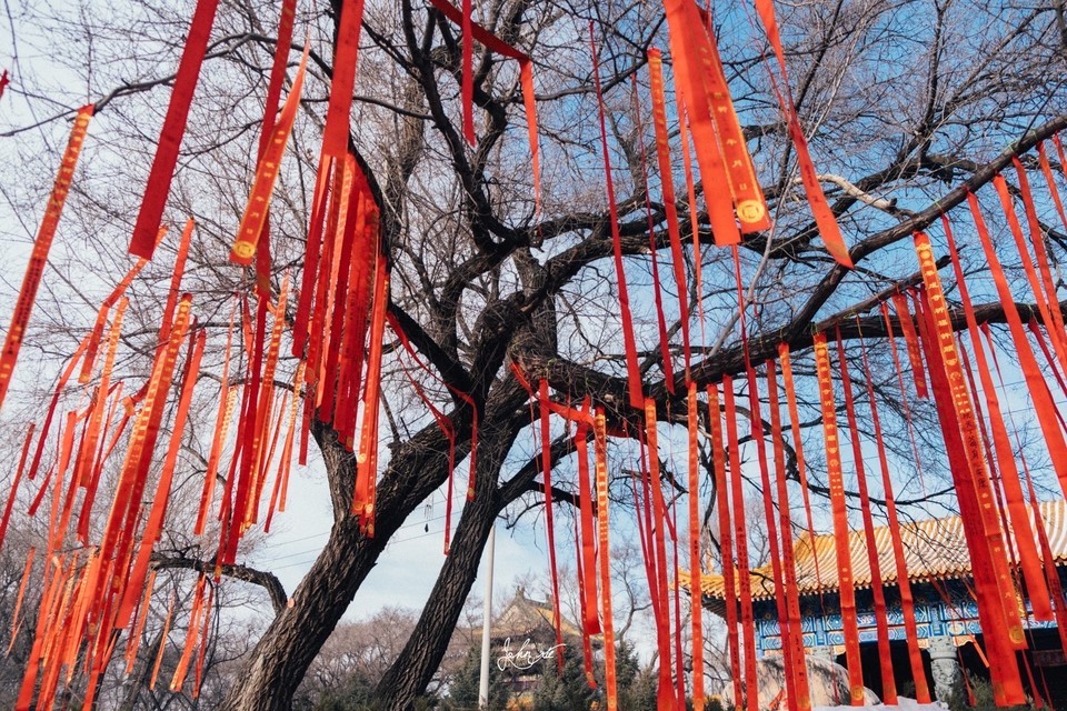 在哪兒):大慶市杜爾伯特蒙古族自治縣阿爾善路與呼格吉樂街交匯處附