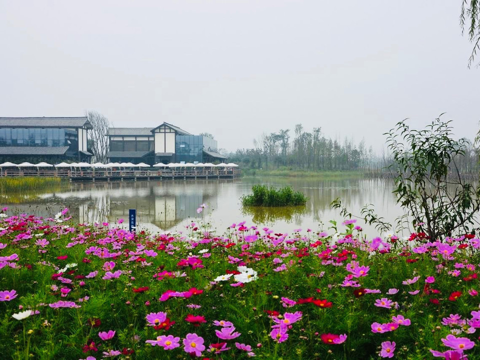 成都三圣乡江家菜地