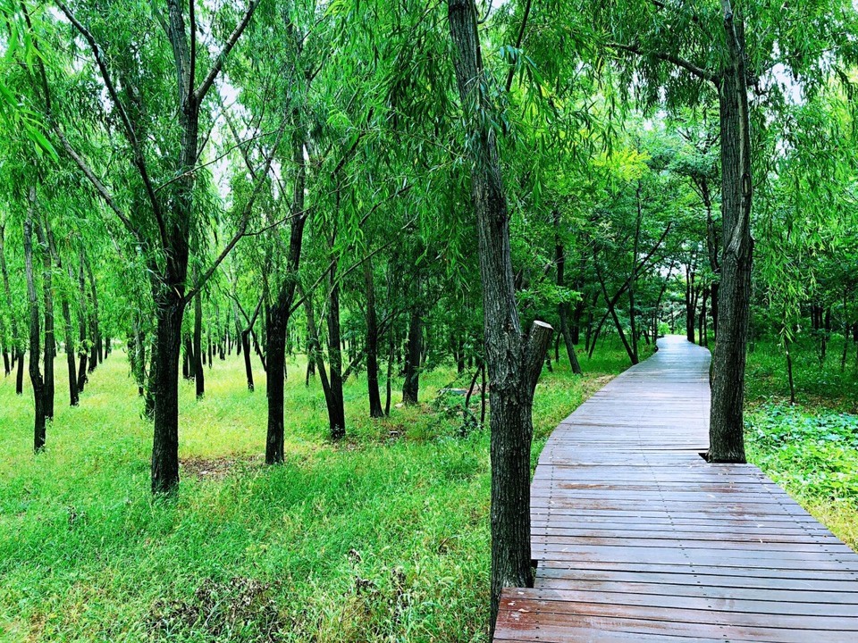 > 森林公园地图