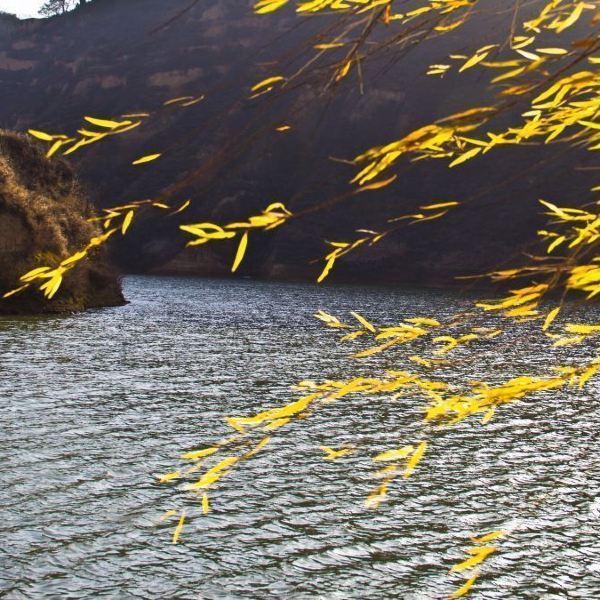 芷阳湖旅游景区
