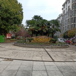 北美城市花园图片