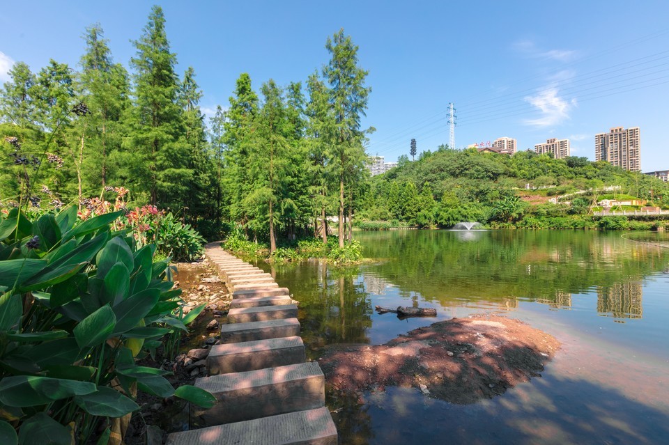 重庆彩云湖湿地公园位于重庆市九龙坡区和高新区交界处蟠龙大道推荐菜
