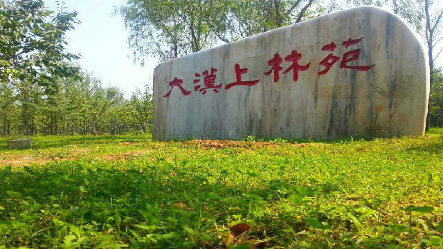 大汉上林苑图片
