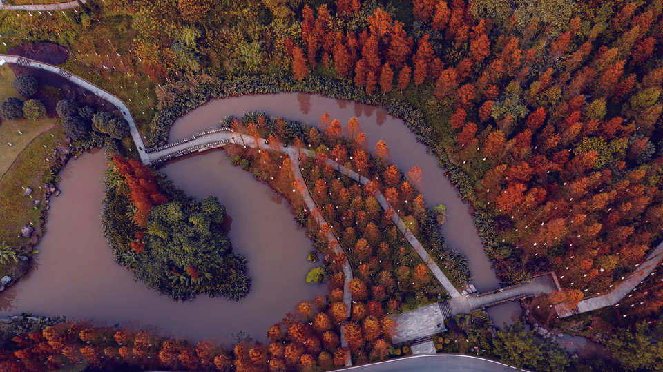 黄家坝湿地公园