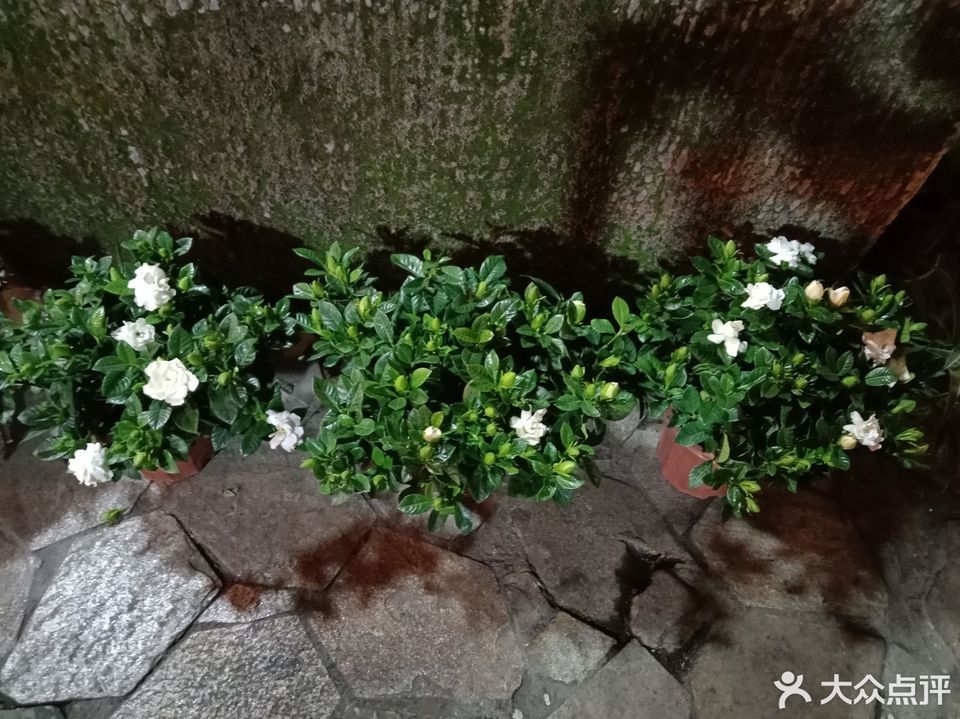 泥巴小院市井火锅锦华店
